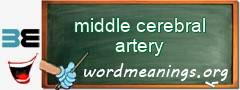 WordMeaning blackboard for middle cerebral artery